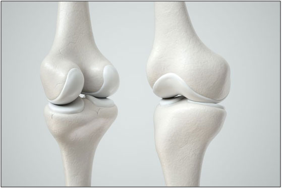 Cartilage present between the joints