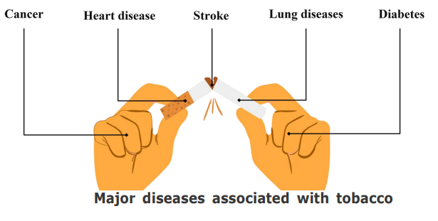 Diseases-occur-by-tobacco